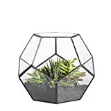 NCYP 5.9' Black Glass Geometric Terrarium Planter Pentagon Container Modern Decor Display Flower Pot for Succulents Fern Air Plants, Balcony Tabletop Window Miniature Fairy Garden DIY Gift (No Plants)